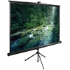 Экран Cactus 165x220см TriExpert CS-PSTE-220х165-BK 4:3 напольный рулонный (CS-PSTE-220Х165-BK)