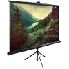 Экран Cactus 220x220см TriExpert CS-PSTE-220х220-BK 1:1 напольный рулонный (CS-PSTE-220Х220-BK)