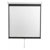 Экран настенный Digis DSOD-1107 Optimal-D, формат 1:1 (248x250) MW