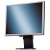 21.3" MONITOR NEC 2170NX-BK <Silver&Black> (LCD, 1600x1200, +DVI, USB2.0 Hub)
