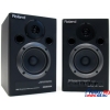 Roland DM-10 Digital Stereo Micro Monitor (2х10W)