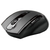 Мышь A4Tech V-Track G10-810F черный оптическая (2000dpi) беспроводная USB (6but)