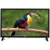 Телевизор LED 22" ORION ПТ-55ЖК-100ЦТ Черный, Full HD, HDMI, USB, DVB-T2 (11707)