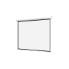Экран настенный Digis Optimal-B DSOB-1105 формат 1:1 (220х220)