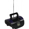 Hyundai <H-PAS220> Аудиомагнитола (2x3W,  USB, SD, FM)