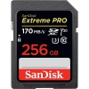 Карта памяти SDXC 256GB UHS-1 SDSDXXY-256G-GN4IN SANDISK SANDISK BY WESTERN DIGITAL