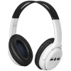 Гарнитура FREEMOTION B520 WHITE 63521 DEFENDER