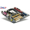 M/B Sapphire RS482MK7-A70SL Socket754<ATI XPRESS 200>PCI-E+SVGA+LAN SATA RAID U133 MicroATX 2DDR<PC-3200>