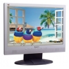 19"    MONITOR Viewsonic VA1912w (LCD, Wide, 1440x900, +DVI)