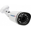 Видеокамера IP TRASSIR TR-D2121WDIR3, белый съемка: объектив 1.9 мм цветная, матрица: CMOS,  2.1Мп, , испол