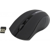 CANYON Wireless Optical Mouse <CNE-CMSW05B Black>  (RTL) USB 4btn+Roll