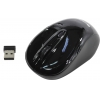 CANYON Wireless Optical Mouse <CNE-CMSW02B Black>  (RTL)  USB  4btn+Roll