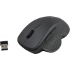 JETACCESS Wireless Optical Mouse <OM-U65G Grey> (RTL) USB  6btn+Roll, беспроводная