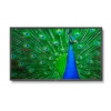 LED панель NEC MultiSync [C651Q] 3840х2160,4000:1,400кд/м2,USB,проходной  DP,OPS (07BV1UBN)