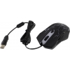 Genius Scorpion Spear Mouse (RTL) USB  6btn+Roll (31040002400)
