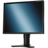 21.3" ЖК монитор NEC 2190UXp-BK <Black> с поворотом экрана (LCD, 1600x1200,  D-Sub,  DVI-I,  DVI-D)