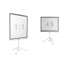 Экран Digis Kontur-D <DSKD-1106> (111", 1:1, 200x200см,  Matte White)