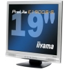 19"    MONITOR  IIYAMA ProLite E1900S-S <Silver> (LCD, 1280x1024, +DVI)