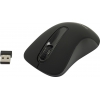 CANYON Wireless Optical Mouse <CNE-CMSW2>  (RTL)  USB  3btn+Roll