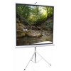 Экран на штативе ScreenMedia STM-1103 Apollo-T 200x200 см Matte  White 1:1