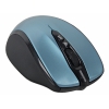 JETACCESS Optical Mouse <OM-U24G Black&Blue> (RTL)  USB  6btn+Roll,  беспроводная