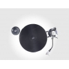 Виниловый проигрыватель Transrotor MAX Rega  RB 220