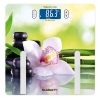 "Напольные весы (SPA орхидея) SC-BS33ED10 SCARLETT
